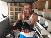  فيديو: السيد زهدي عاشور وطيور الحمام - قصة حب وعشق لا تنتهي 